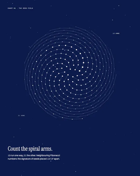 deepfield slide 2